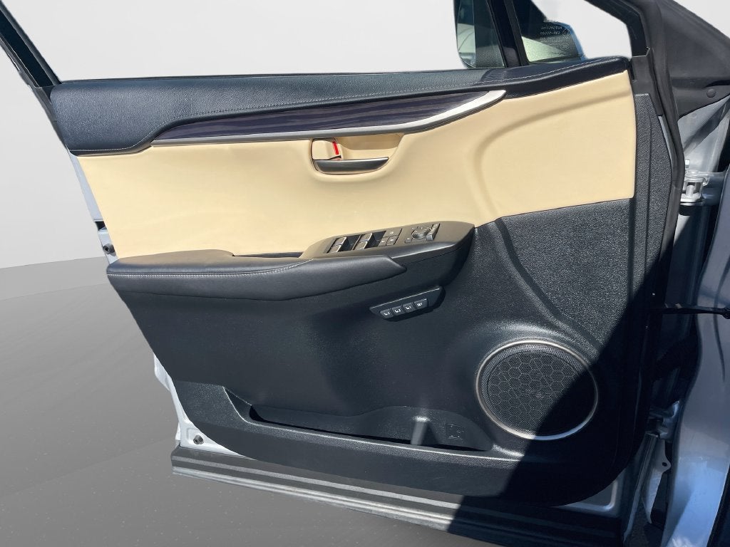 2019 Lexus NX NX 300h
